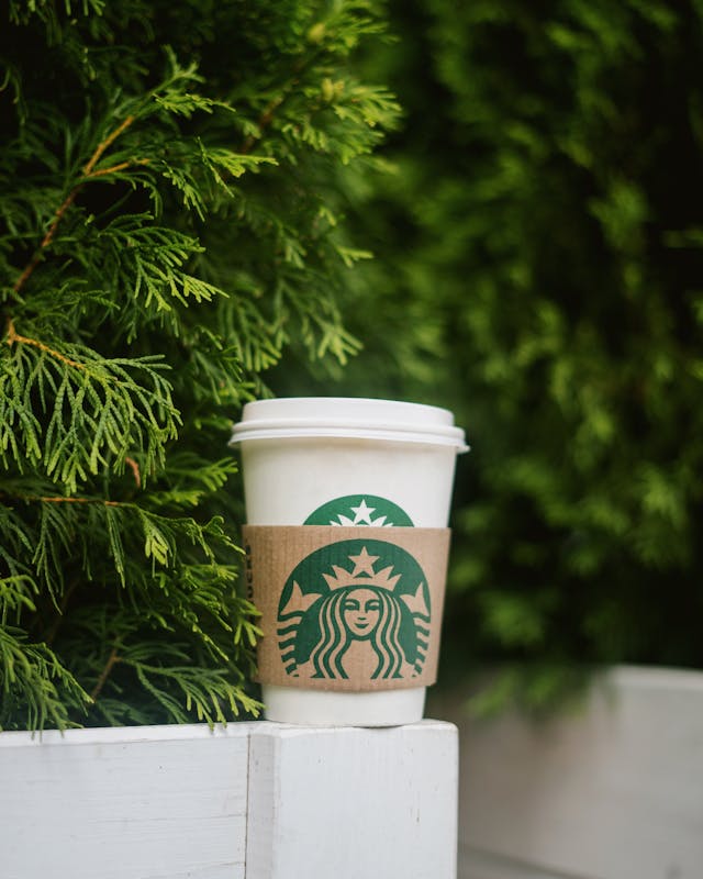 pexels-photo-12900878-1